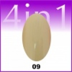 Gel color One Stroke 4 in 1 #09